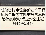博尔塔拉中级煤矿安全工程师怎么报考在哪里报名流程是什么(博尔塔拉安全工程师报考流程)
