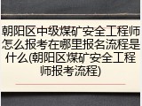 朝阳区中级煤矿安全工程师怎么报考在哪里报名流程是什么(朝阳区煤矿安全工程师报考流程)