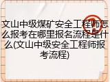 文山中级煤矿安全工程师怎么报考在哪里报名流程是什么(文山中级安全工程师报考流程)
