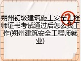 朔州初级建筑施工安全工程师证书考试通过后怎么找工作(朔州建筑安全工程师就业)