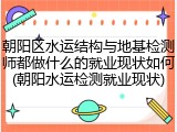 朝阳区水运结构与地基检测师都做什么的就业现状如何(朝阳水运检测就业现状)