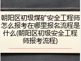 朝阳区初级煤矿安全工程师怎么报考在哪里报名流程是什么(朝阳区初级安全工程师报考流程)
