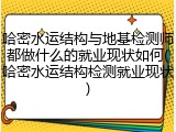 哈密水运结构与地基检测师都做什么的就业现状如何(哈密水运结构检测就业现状)