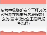 东营中级煤矿安全工程师怎么报考在哪里报名流程是什么(东营中级安全工程师报考流程)