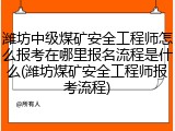 潍坊中级煤矿安全工程师怎么报考在哪里报名流程是什么(潍坊煤矿安全工程师报考流程)