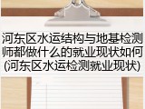河东区水运结构与地基检测师都做什么的就业现状如何(河东区水运检测就业现状)