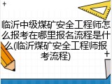 临沂中级煤矿安全工程师怎么报考在哪里报名流程是什么(临沂煤矿安全工程师报考流程)