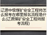 辽源中级煤矿安全工程师怎么报考在哪里报名流程是什么(辽源煤矿安全工程师报考流程)