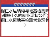 铜仁水运结构与地基检测师都做什么的就业现状如何(铜仁水运地基检测就业现状)