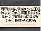 西双版纳初级煤矿安全工程师怎么报考在哪里报名流程是什么(西双版纳初级煤矿安全工程师报考流程)
