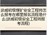 武威初级煤矿安全工程师怎么报考在哪里报名流程是什么(武威初级安全工程师报考流程)
