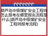 葫芦岛中级煤矿安全工程师怎么报考在哪里报名流程是什么(葫芦岛中级煤矿安全工程师报考流程)