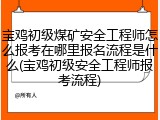 宝鸡初级煤矿安全工程师怎么报考在哪里报名流程是什么(宝鸡初级安全工程师报考流程)