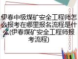 伊春中级煤矿安全工程师怎么报考在哪里报名流程是什么(伊春煤矿安全工程师报考流程)