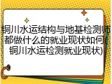 铜川水运结构与地基检测师都做什么的就业现状如何(铜川水运检测就业现状)