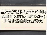 曲靖水运结构与地基检测师都做什么的就业现状如何(曲靖水运检测就业现状)