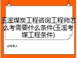 玉溪煤炭工程咨询工程师怎么考需要什么条件(玉溪考煤工程条件)