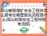 保山初级煤矿安全工程师怎么报考在哪里报名流程是什么(保山初级安全工程师报考流程)