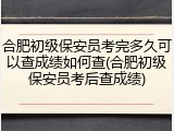 合肥初级保安员考完多久可以查成绩如何查(合肥初级保安员考后查成绩)