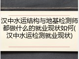 汉中水运结构与地基检测师都做什么的就业现状如何(汉中水运检测就业现状)