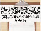 攀枝花高级消防设施操作员限制专业吗还有哪些要求呀(攀枝花消防设施操作员限制专业)
