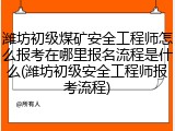 潍坊初级煤矿安全工程师怎么报考在哪里报名流程是什么(潍坊初级安全工程师报考流程)