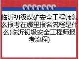 临沂初级煤矿安全工程师怎么报考在哪里报名流程是什么(临沂初级安全工程师报考流程)