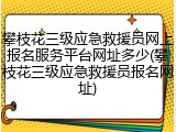 攀枝花三级应急救援员网上报名服务平台网址多少(攀枝花三级应急救援员报名网址)