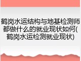 鹤岗水运结构与地基检测师都做什么的就业现状如何(鹤岗水运检测就业现状)
