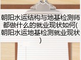 朝阳水运结构与地基检测师都做什么的就业现状如何(朝阳水运地基检测就业现状)