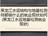 黑龙江水运结构与地基检测师都做什么的就业现状如何(黑龙江水运地基检测就业现状)