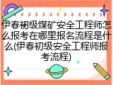 伊春初级煤矿安全工程师怎么报考在哪里报名流程是什么(伊春初级安全工程师报考流程)
