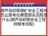 葫芦岛初级煤矿安全工程师怎么报考在哪里报名流程是什么(葫芦岛初级安全工程师报考流程)