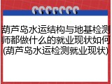 葫芦岛水运结构与地基检测师都做什么的就业现状如何(葫芦岛水运检测就业现状)