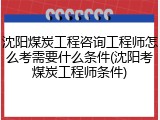 沈阳煤炭工程咨询工程师怎么考需要什么条件(沈阳考煤炭工程师条件)