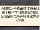 涪陵区冶金机电环评师考试哪个机构学习靠谱呢(涪陵区冶金机电环评师考试靠谱机构)