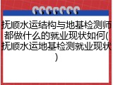 抚顺水运结构与地基检测师都做什么的就业现状如何(抚顺水运地基检测就业现状)