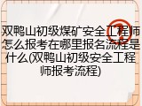 双鸭山初级煤矿安全工程师怎么报考在哪里报名流程是什么(双鸭山初级安全工程师报考流程)