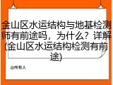 金山区水运结构与地基检测师有前途吗,为什么?详解(金山区水运结构检测有前途)