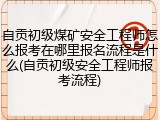 自贡初级煤矿安全工程师怎么报考在哪里报名流程是什么(自贡初级安全工程师报考流程)
