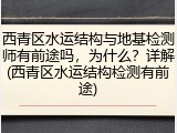 西青区水运结构与地基检测师有前途吗,为什么?详解(西青区水运结构检测有前途)