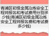 青浦区初级金属冶炼安全工程师报名和考试费用分别多少钱(青浦区初级金属冶炼安全工程师报名费和考试费多少钱)