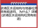 武清区水运结构与地基检测师有前途吗,为什么?详解(武清区水运结构检测有前途)