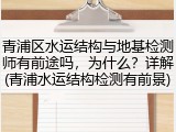 青浦区水运结构与地基检测师有前途吗,为什么?详解(青浦水运结构检测有前景)