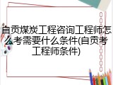 自贡煤炭工程咨询工程师怎么考需要什么条件(自贡考工程师条件)