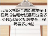武清区初级金属冶炼安全工程师报名和考试费用分别多少钱(武清区初级安全工程师费多少钱)