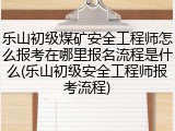 乐山初级煤矿安全工程师怎么报考在哪里报名流程是什么(乐山初级安全工程师报考流程)