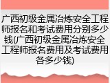 广西初级金属冶炼安全工程师报名和考试费用分别多少钱(广西初级金属冶炼安全工程师报名费用及考试费用各多少钱)