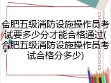 合肥五级消防设施操作员考试要多少分才能合格通过(合肥五级消防设施操作员考试合格分多少)