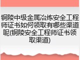 铜陵中级金属冶炼安全工程师证书如何领取有哪些渠道呢(铜陵安全工程师证书领取渠道)
